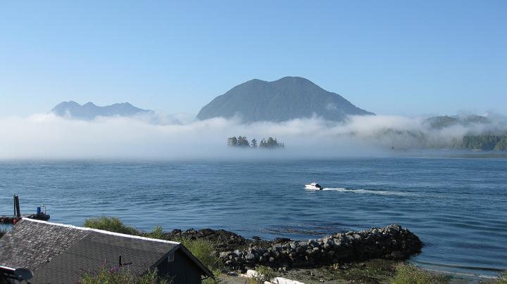 IMG_0596.JPG - View from our Guesthouse in Tofino.