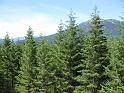 IMG_0546