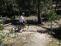 IMG_0549