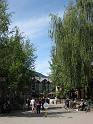 IMG_0571